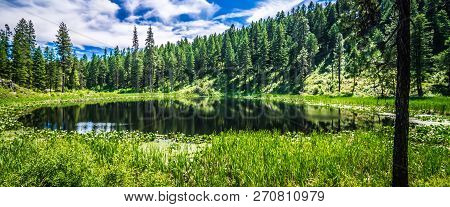 Nature Scenics Around The Spokane River Washington