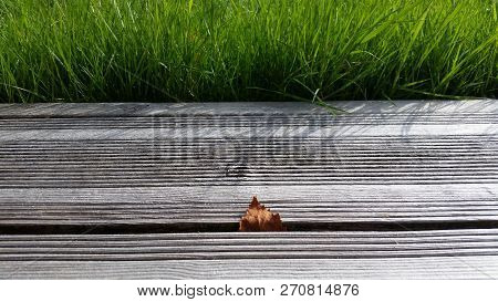 A Leaf Stucked Alone Between Two Wooden Planks Bordered By Green Grass.
