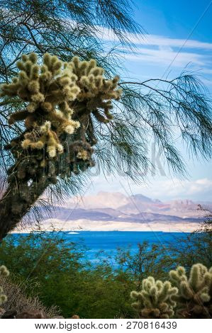 Scenes At Lake Mead Nevada Arizona Stateline