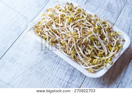 Package Of Bean Sprouts / Mungbean Or Soybean