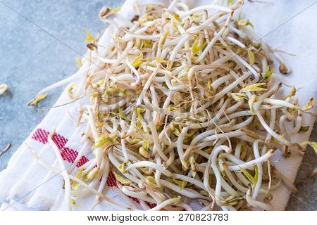 Mungbean / Bean Sprouts Or Soybean