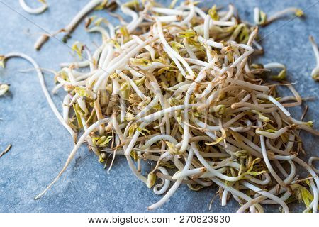 Mungbean / Bean Sprouts Or Soybean