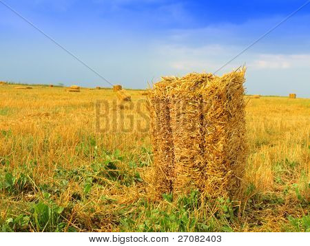 Feld Stoppel Landschaft mit Strohballen
