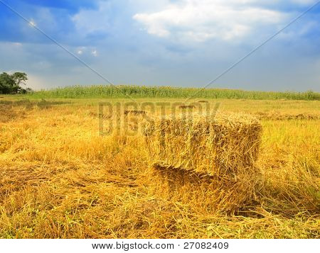 Feld-Stoppel-Landschaft mit Strohballen