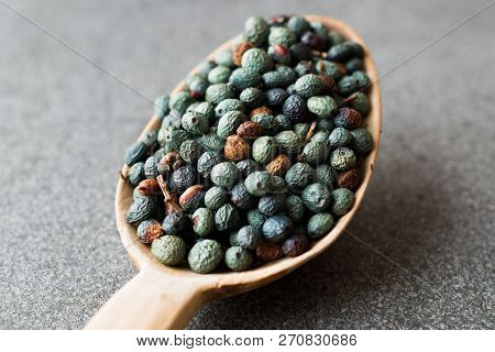 Citlembik / Northern Hackberry Seeds / Terebinth Berry / Celtis Occidentalis