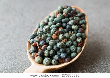 Citlembik / Northern Hackberry Seeds / Terebinth Berry / Celtis Occidentalis