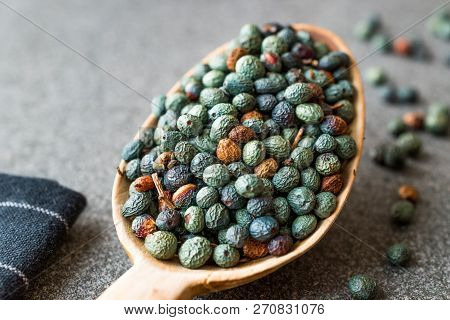 Citlembik / Northern Hackberry Seeds / Terebinth Berry / Celtis Occidentalis