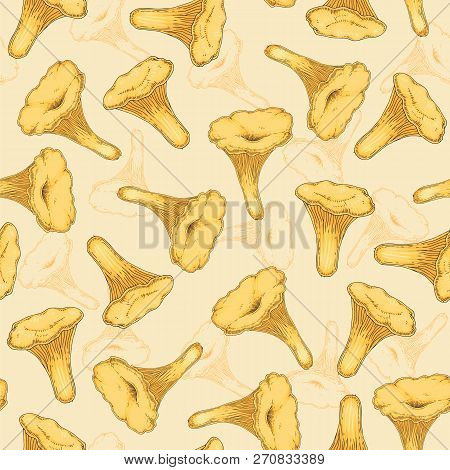 Seamless Pattern With Golden Chanterelle. Edible Mushroom.