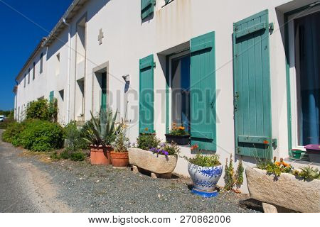 Outdoor garden in front of the house in pots