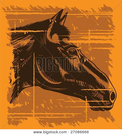 Grunge hest hoved