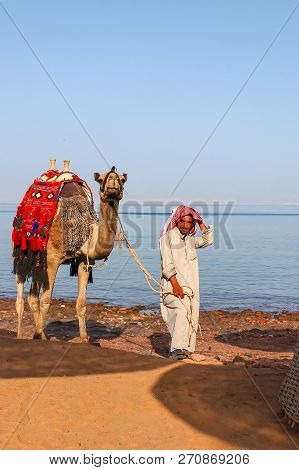 Egyptian With His Camel Posing Against The Sea, June 5, 2008, Taba, Egypt