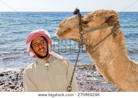 Egyptian With His Camel Posing Against The Sea, June 7, 2008, Taba, Egypt