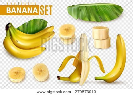 Realistic Banana Transparent Set With Isolated Images Of Palm Leaf Bunch Of Banana Fruits And Slices