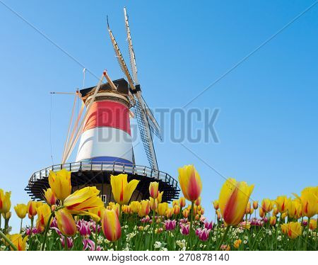 Windmill Of Leiden Wrapped In Netherlands Three Colored Flag With Flowers, Holland