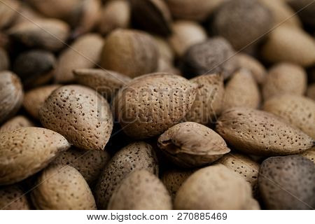 Almonds Texture And Background For Design. Close Up View Of Shelled Almonds. Heap Of Almonds. Organi