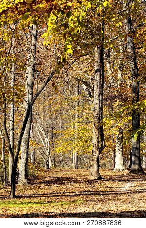 Late Fall Colors And Leaves Are Seen Along The Yadkin River Greenway In Wilkesboro, North Carolina.