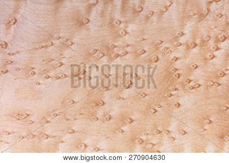 Birdseye Maple wood texture. High resolution, Sharp to the corners. Unfinished.