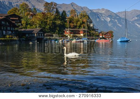Brienz, Switzerland - Oct 21, 2018. Beautiful Town Near The Lake Brienz, Switzerland. The Turquoise 