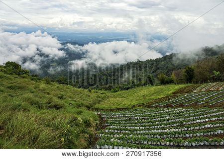 The Mon Cheam Mountain Of Chiang Mai, Thailand.