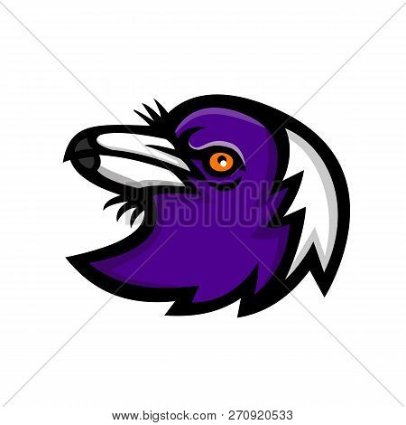 Mascot Icon Illustration Of Head Of A Australian Magpie, A Bird Of The Corvidae Family Viewed From S