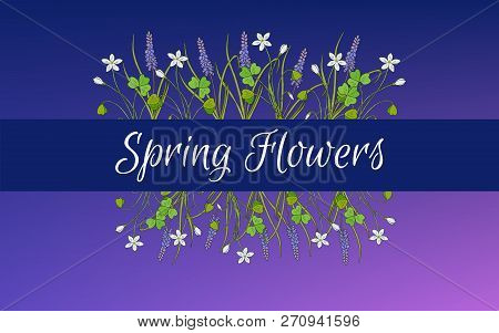 Spring Card Template With Miscari And Wood Sorrel. Hand Drawn Vector Illustration
