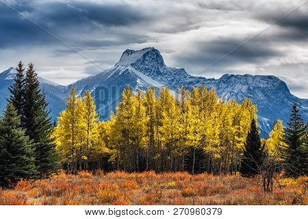 Banff National Park