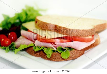 Hamtomato_Sideangle