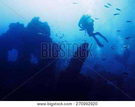 Some People Dive Peacefully On The Old Remains Of A Sunken Ship. Hundreds Of Fish Surround The Myste