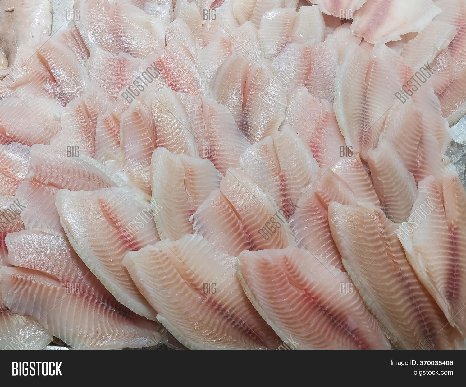 Fresh Fish Counter Image & Photo (Free Trial) Bigstock