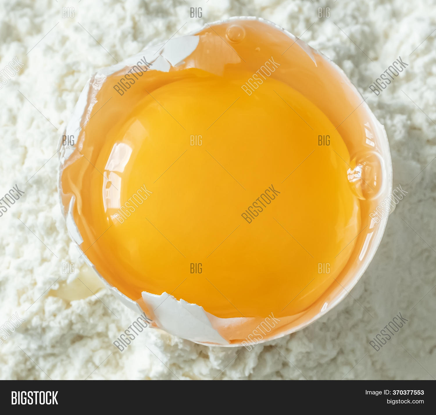 White Egg Egg Yolk On Image & Photo (Free Trial) Bigstock