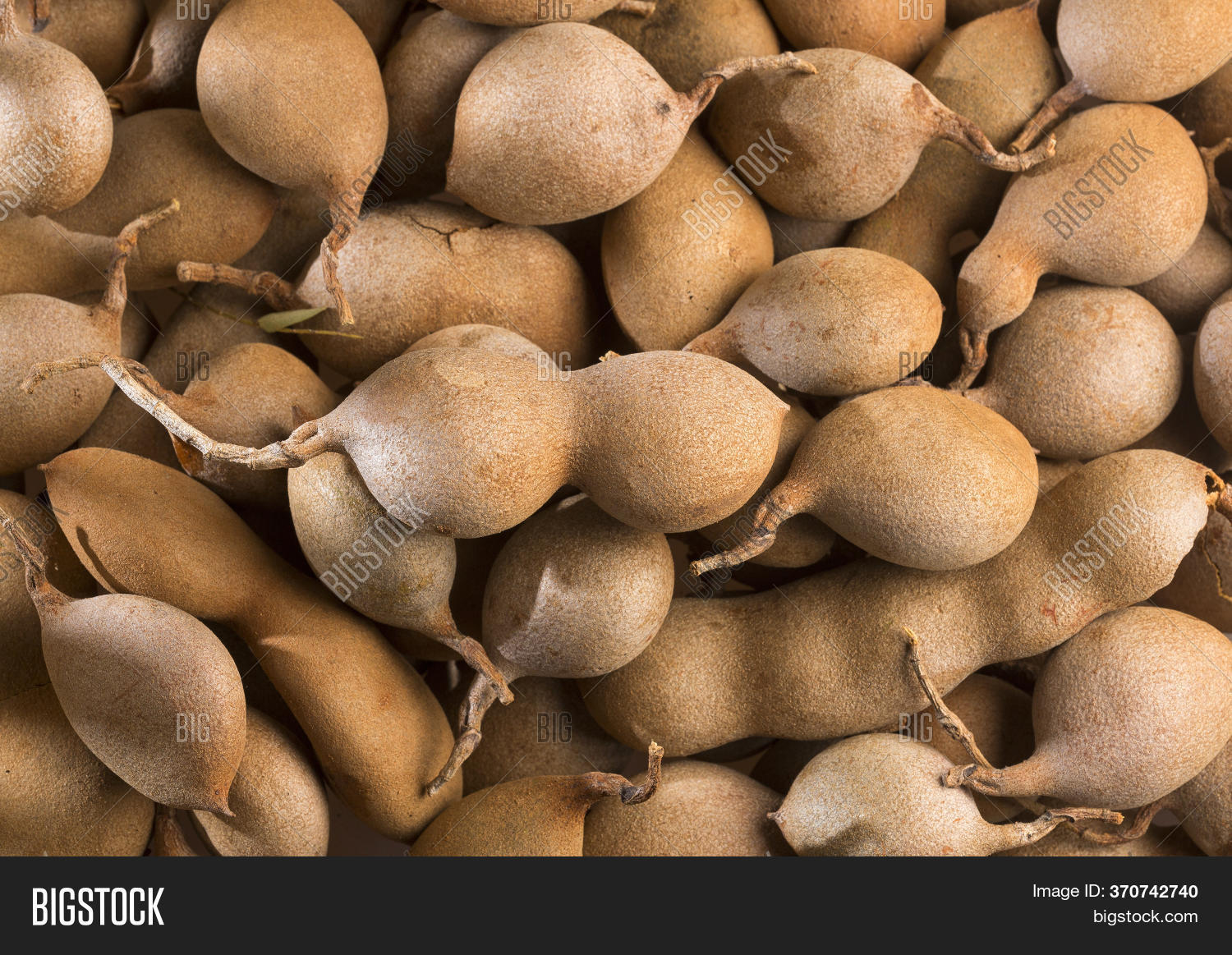 Tamarind Tropical Image & Photo (Free Trial) Bigstock