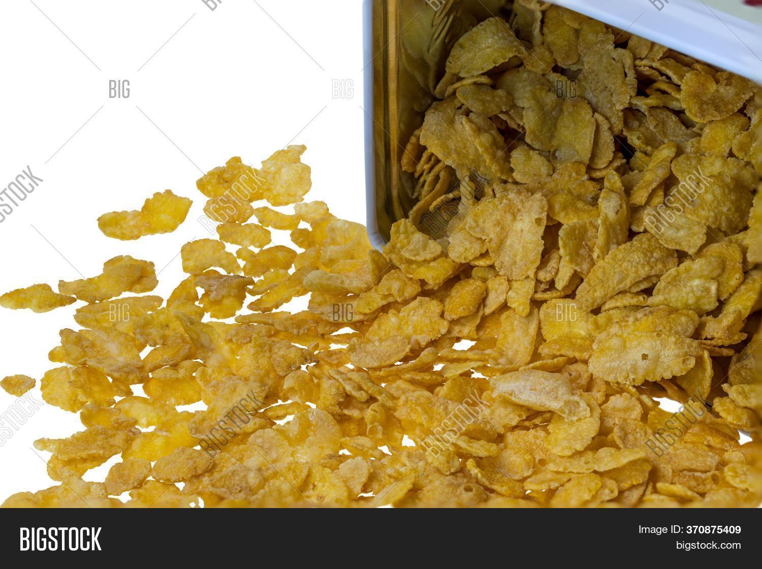 Close View Fallen Image & Photo (Free Trial) Bigstock