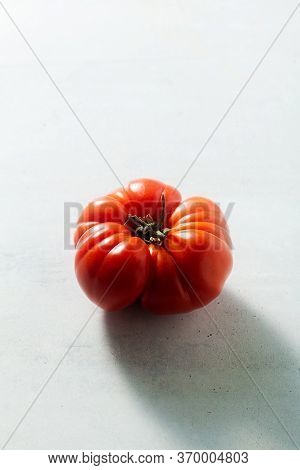 One Red Tomato On The Table. Light From Behind. Oxheart
