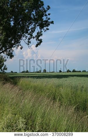 Track Across The Fields On A Sunny Day