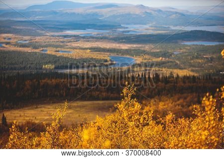 Swedish Autumn Fall Vibrant Landscape During Hiking To Kurravaara Mountain In Norrbotten County, Kir
