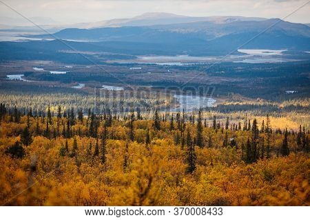 Swedish Autumn Fall Vibrant Landscape During Hiking To Kurravaara Mountain In Norrbotten County, Kir