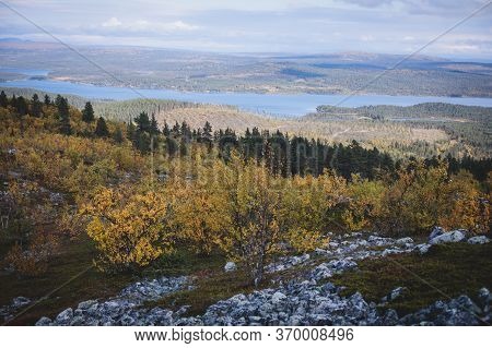 Swedish Autumn Fall Vibrant Landscape During Hiking To Kurravaara Mountain In Norrbotten County, Kir