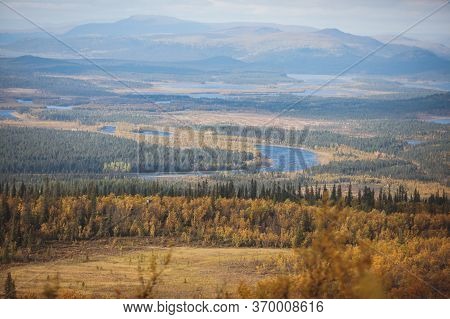Swedish Autumn Fall Vibrant Landscape During Hiking To Kurravaara Mountain In Norrbotten County, Kir
