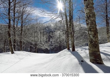 snow on path of frozen forest in winter Mountains of Sicily tourism outdoor activity