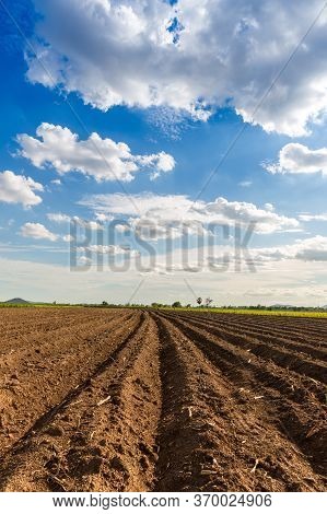 Rows Of Soil Before Planting. Furrows Row Pattern In A Plowed Field Prepared For Planting Crops In S