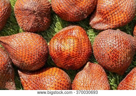Full Frame Shoot Of Snake Fruit. Salak Pondoh Is One Of The Salak Cultivars That Mostly Grows In Are