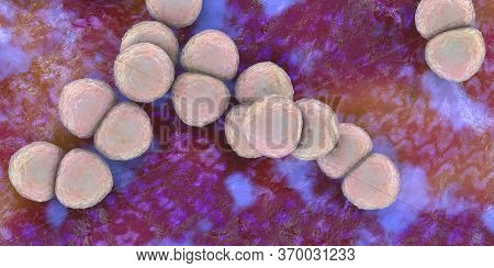 Bacteria Streptococcus Pneumoniae, 3d Illustration. Gram-positive Diplococci, The Causative Agent Of