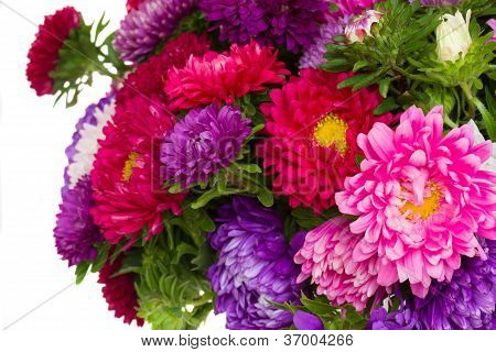 detalje af blandet aster blomster