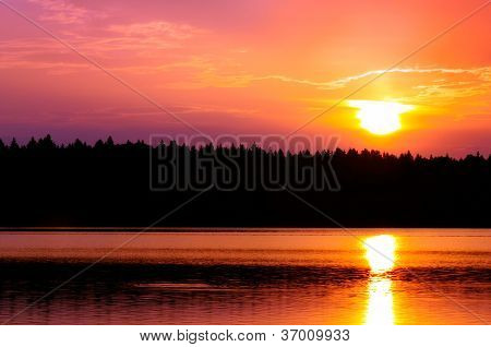 Hermosa rosa Sunset Over Lake