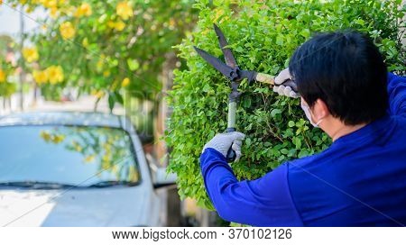 Home Gardening When Lock Down And Self-quarantine. Recreation Activity At Botanic Garden During The 