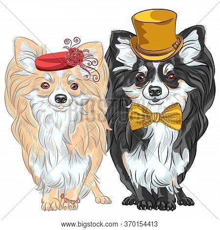 Vector Set Of Fashion Dogs Chihuahua, Lady In Red Hat With Bracelet And Gentelman In Gold Silk Hat A