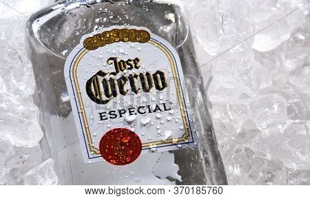 Bottles Of  Tequila Jose Cuervo In Crushed Ice