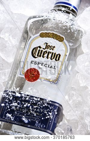 Bottles Of  Tequila Jose Cuervo In Crushed Ice