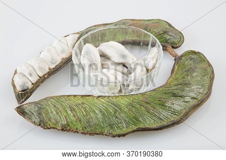Fresh Inga Fruit. The Guama Fruit Tropical And Exotic From South America