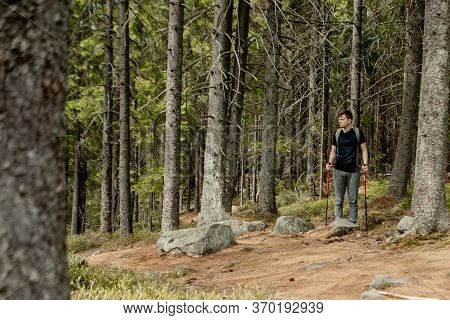 A Man Is A Tourist In A Pine Forest With A Backpack. A Hiking Trip Through The Forest. Pine Reserve 